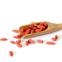 Nouvelle récolte de baies de goji sauvages de haute qualité en vente directe